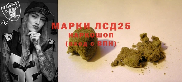 мдпв Богородицк