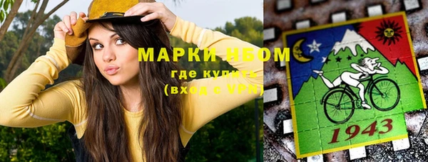 мдпв Богородицк