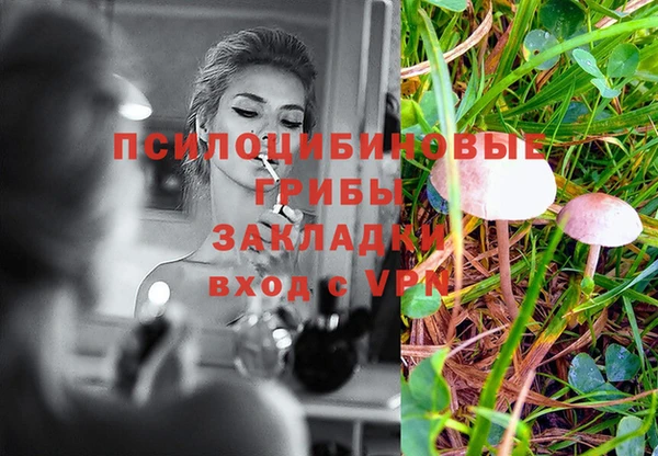 соль курить ск Богданович