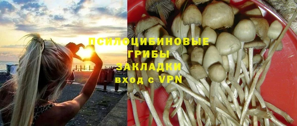 jwh Богородск