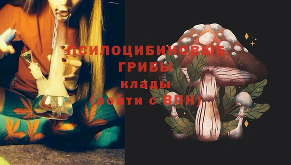 мдпв Богородицк