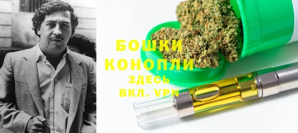 мдпв Богородицк