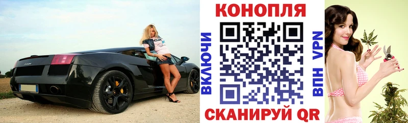 сколько стоит  kraken как войти  Марихуана индика  Сковородино 